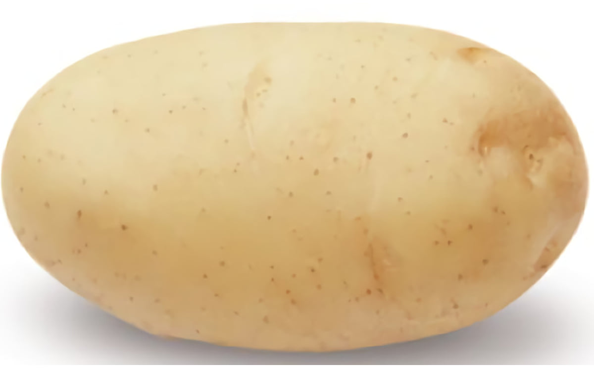 Felsina