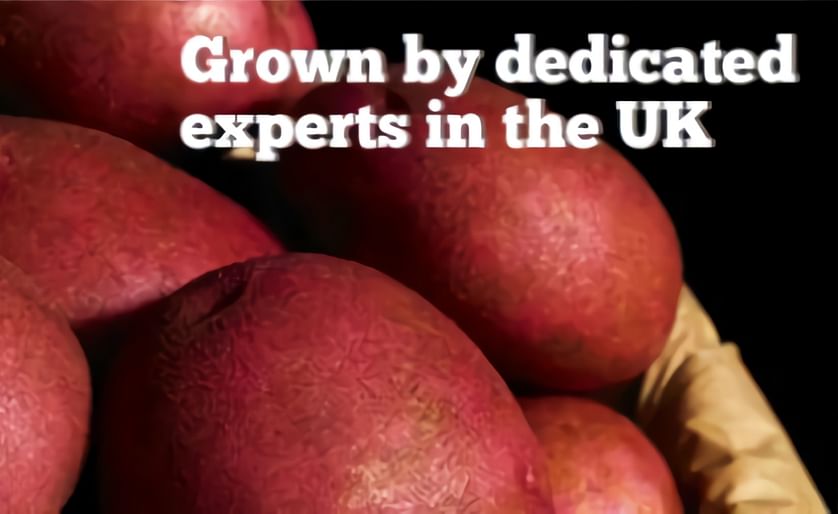 Fenmarc’s Rudolph potato campaign shortlisted for award