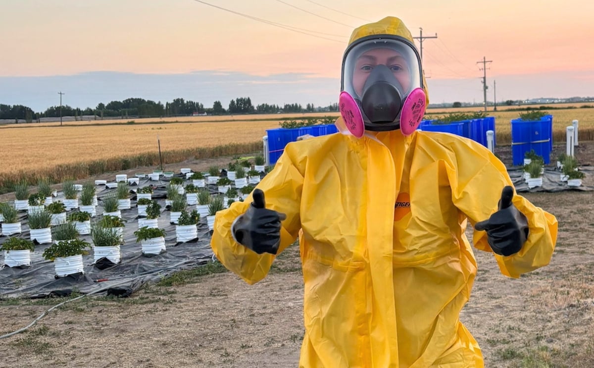 Research technician Zoe Park suited up in pesticide application PPE at the field research site