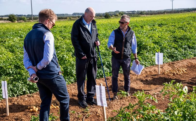 Growers and agronomy experts examined trial potatoes, gaining early insights into varieties heading for supermarkets. Growers and agronomy experts examined trial potatoes, gaining early insights into varieties heading for supermarkets.