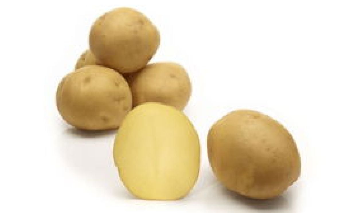 FIGARO FIGARO