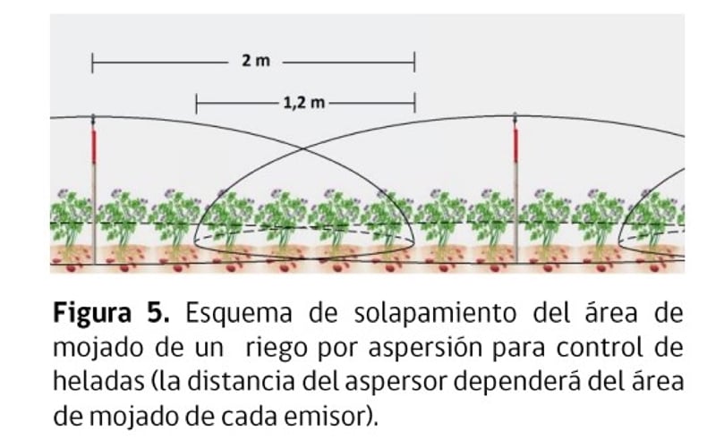 Figura 5. Esquema de solapamiento del área de mojado de un riego por aspersión para control de heladas (la distancia del aspersor dependerá del área de mojado de cada emisor). Figura 5