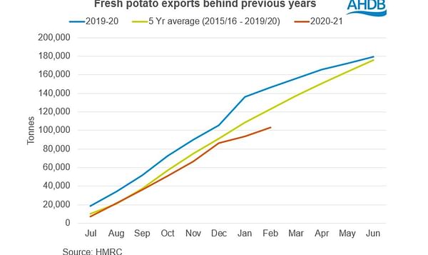 AHDB February trade round-up: Potatoes