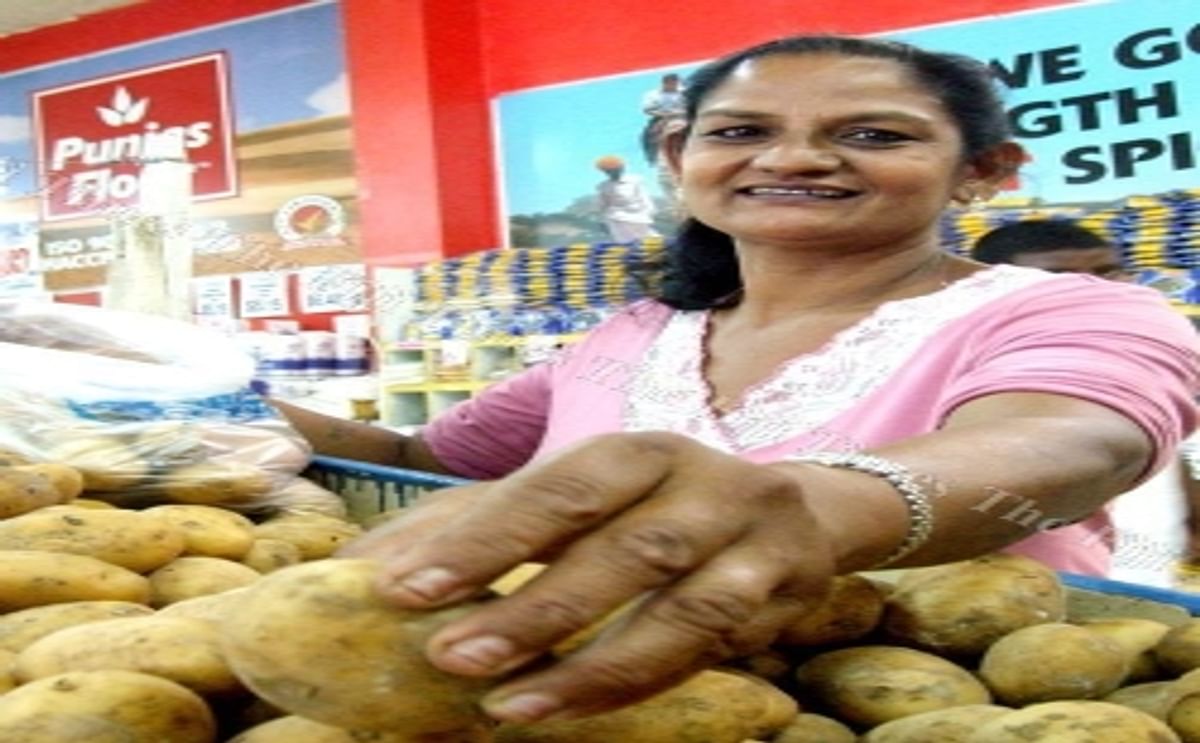 New potato varieties to improve Pacific food security