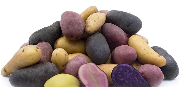 Proposed Rule to modify local Marketing Order to impact US potato imports 