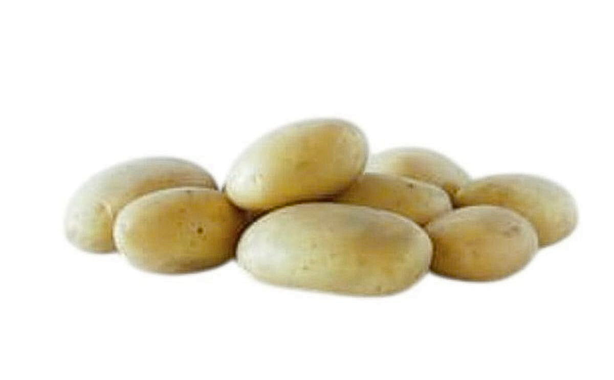 FIORELLA FIORELLA
