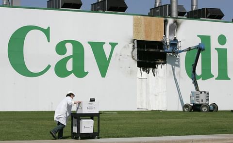 Cavendish Jamestown French Fry plant to reopen within four weeks Cavendish Jamestown French Fry plant to reopen within four weeks