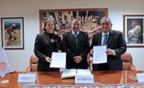 INIA y CIP cooperarán para mejorar productividad de tubérculos andinos INIA y CIP cooperarán para mejorar productividad de tubérculos andinos