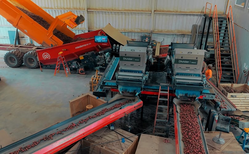Less manual sorting at MTS Gijzenberg with Divider Select | Flikweert Vision Less manual sorting at MTS Gijzenberg with Divider Select | Flikweert Vision