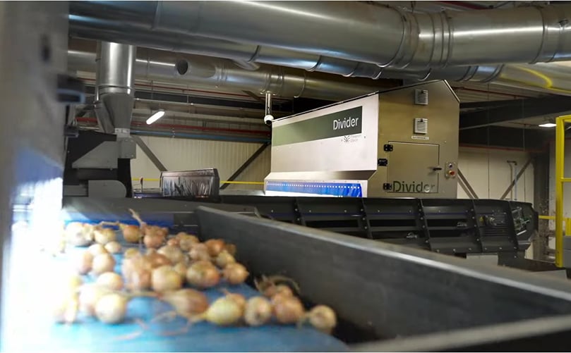 Flikweert Vision Divider: Innovative Automation for Sustainable Potato Sorting