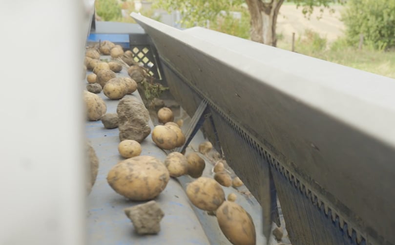 Flikweert Vision Divider Select uses optical detection to remove clods, stones and defects