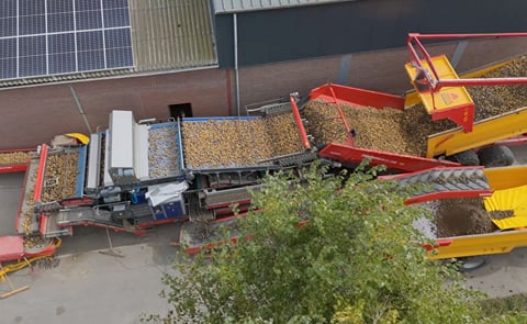 Flikweert Vision Divider Select sorts potatoes during inloading to remove soil and debris Flikweert Vision Divider Select sorts potatoes during inloading to remove soil and debris