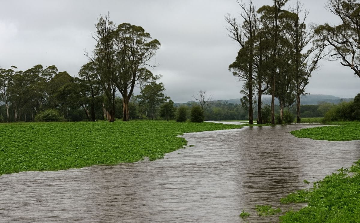 Tasmanian Floods may have destroyed 20% of the potato crop