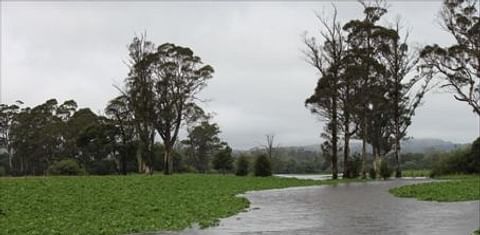  Floodwater cuts this Tasmanian potato field in half (Courtesy ABC Rural)