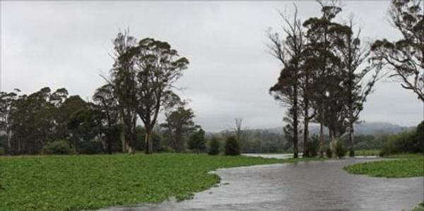  Floodwater cuts this Tasmanian potato field in half (Courtesy ABC Rural)