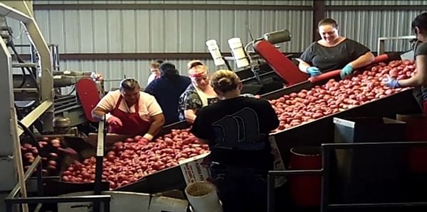 Florida Potato Growers positive on quality of crop