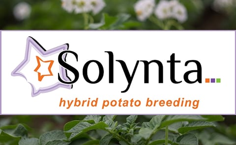 Solynta, FOODsniffer chosen for Ag Innovation Showcase. Solynta, FOODsniffer chosen for Ag Innovation Showcase.