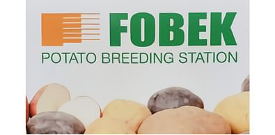 FOBEK BV