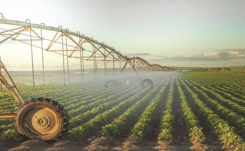 Foliar Application of Liquid Fertilizer