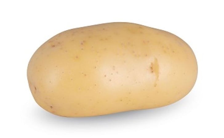 FONIA FONIA