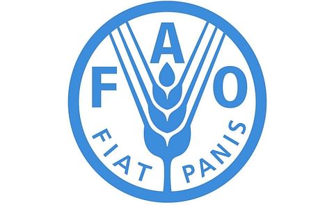 FAO for news FAO for news