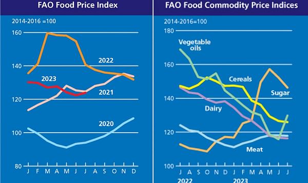 FAO Food Price Index rebounds slightly in July