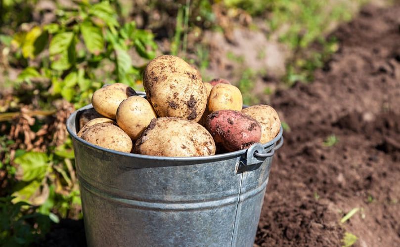 Reworking the product stream to maximize yield