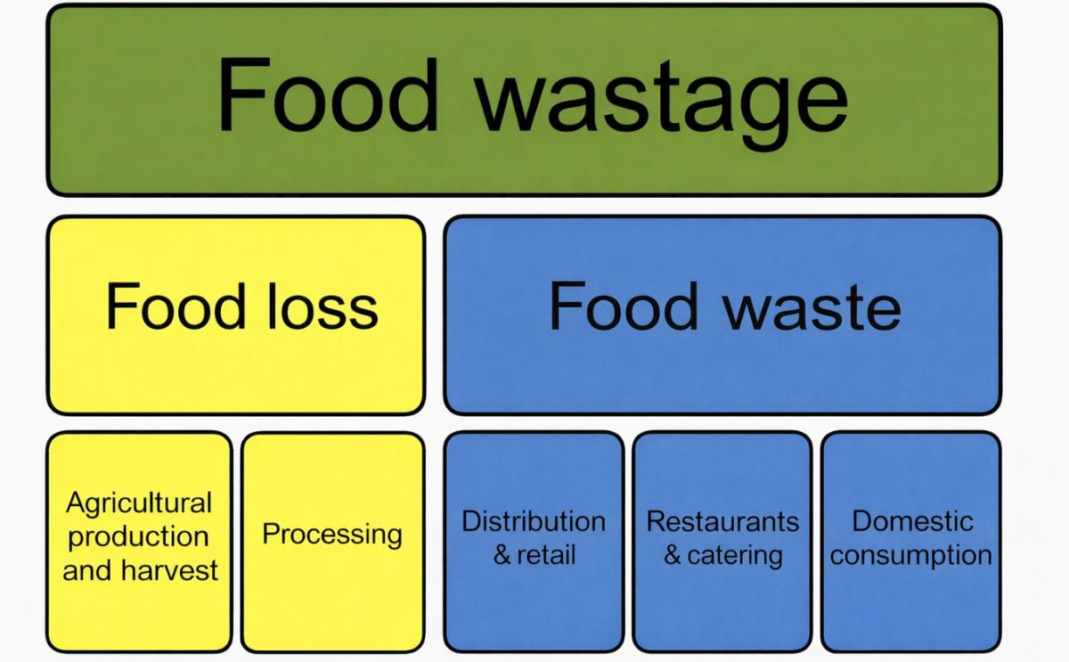 Food Wastage in chain Food Wastage in chain