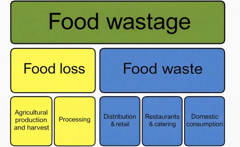 Brasil: El precio de la papa alcanza su nivel más alto en los últimos 10 años Brasil: El precio de la papa alcanza su nivel más alto en los últimos 10 años