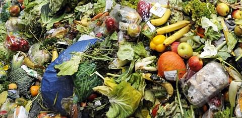 The Consumer Goods Forum Launches Food Waste Coalition of Action