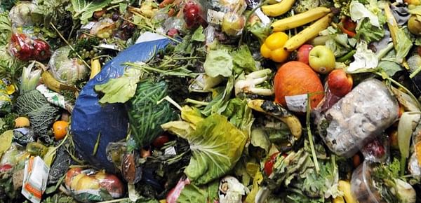 The Consumer Goods Forum Launches Food Waste Coalition of Action