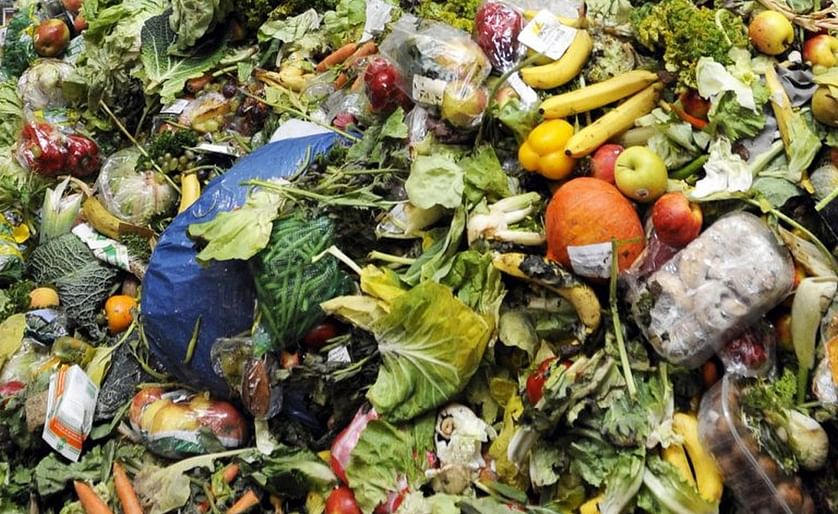 The Consumer Goods Forum Launches Food Waste Coalition of Action.
