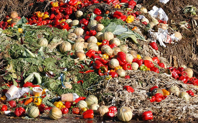 Food Waste Food Waste