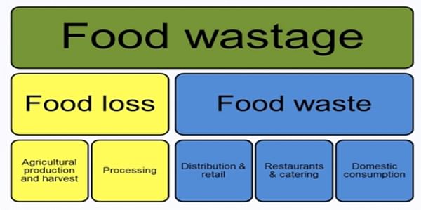  Food Wastage in chain