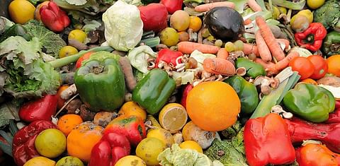 Strong Roots Takes on the Global Food Waste Crisis One Pound at a Time