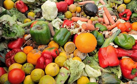 As much as 1.6 billion tonnes of food, 33% of all food produced globally, is wasted each year. As much as 1.6 billion tonnes of food, 33% of all food produced globally, is wasted each year.