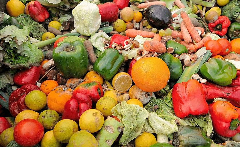As much as 1.6 billion tonnes of food, 33% of all food produced globally, is wasted each year.