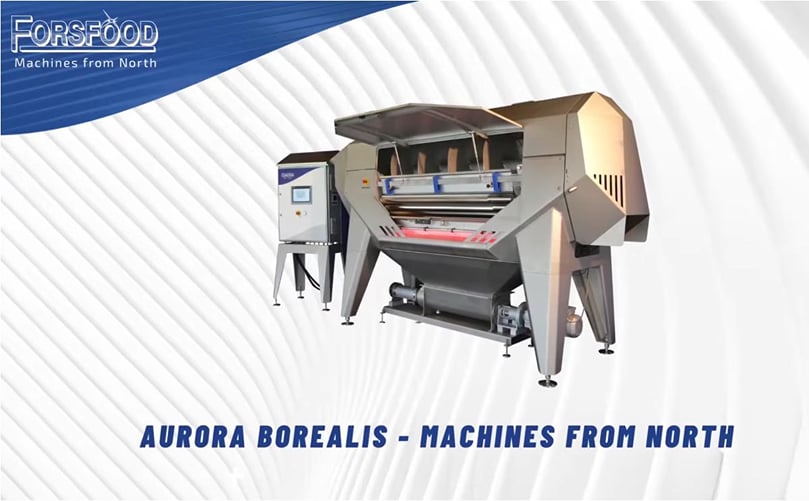 Forsfood Oy - Aurora Borealis peeling machine Forsfood Oy - Aurora Borealis peeling machine
