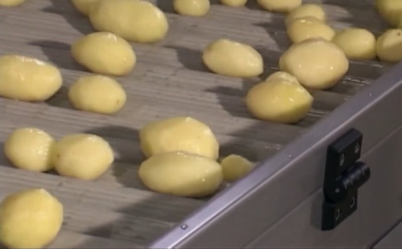 Forsfood Classic-1000 Peeling Line in Action Forsfood Classic-1000 Peeling Line in Action