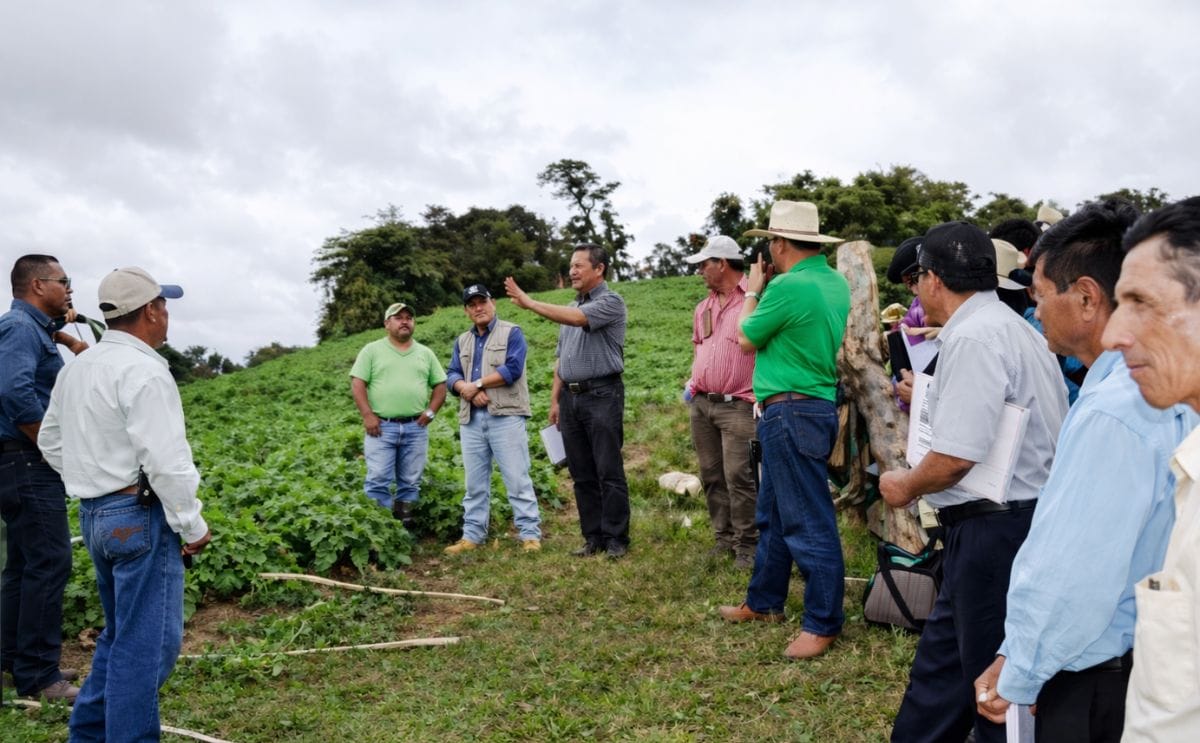 Día de campo con agricultores Día de campo con agricultores
