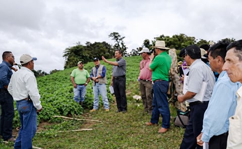 Especialistas peruanos y productores nicaragüenses Intercambian experiencia en el cultivo de Papa Especialistas peruanos y productores nicaragüenses Intercambian experiencia en el cultivo de Papa