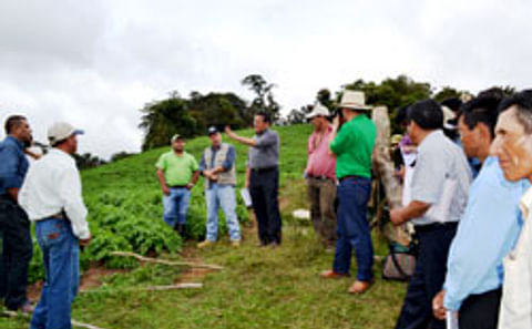 Especialistas peruanos y productores nicaragüenses Intercambian experiencia en el cultivo de Papa