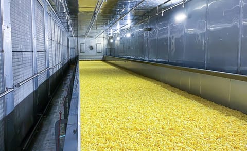 FPS French Fry Freezer Tunnels FPS French Fry Freezer Tunnels