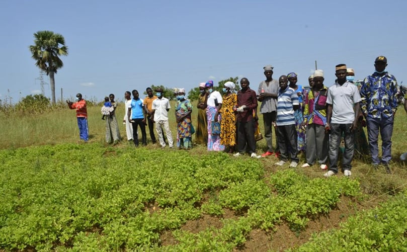 Frafra Potato Farmers Frafra Potato Farmers
