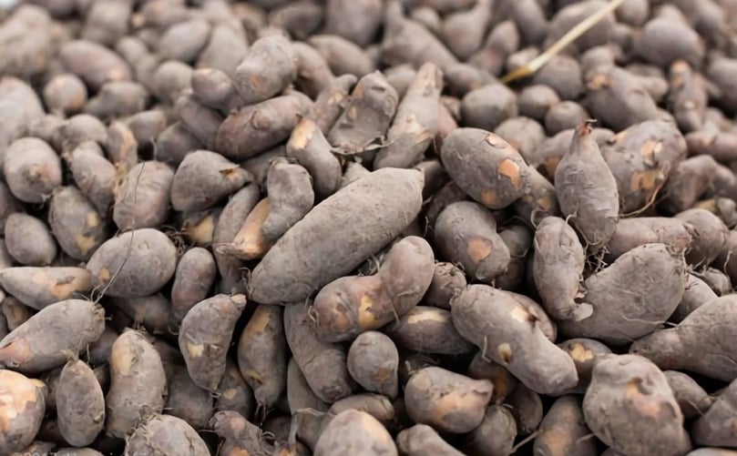 Frafra Potatoes Frafra Potatoes