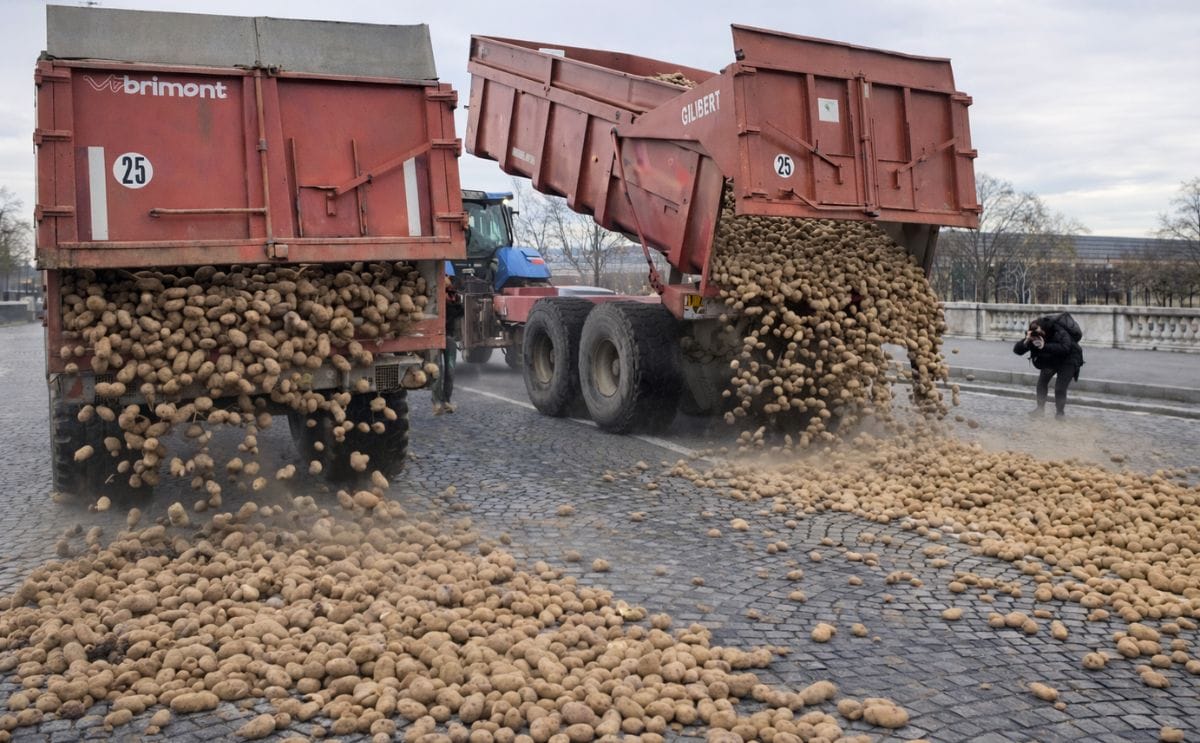 Productores agrícolas franceses lanzaron toneladas de patatas frente al Parlamento en París en rechazo al acuerdo comercial entre la Unión Europea y Mercosur. Productores agrícolas franceses lanzaron toneladas de patatas frente al Parlamento en París en rechazo al acuerdo comercial entre la Unión Europea y Mercosur.