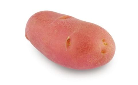 Franceline Franceline