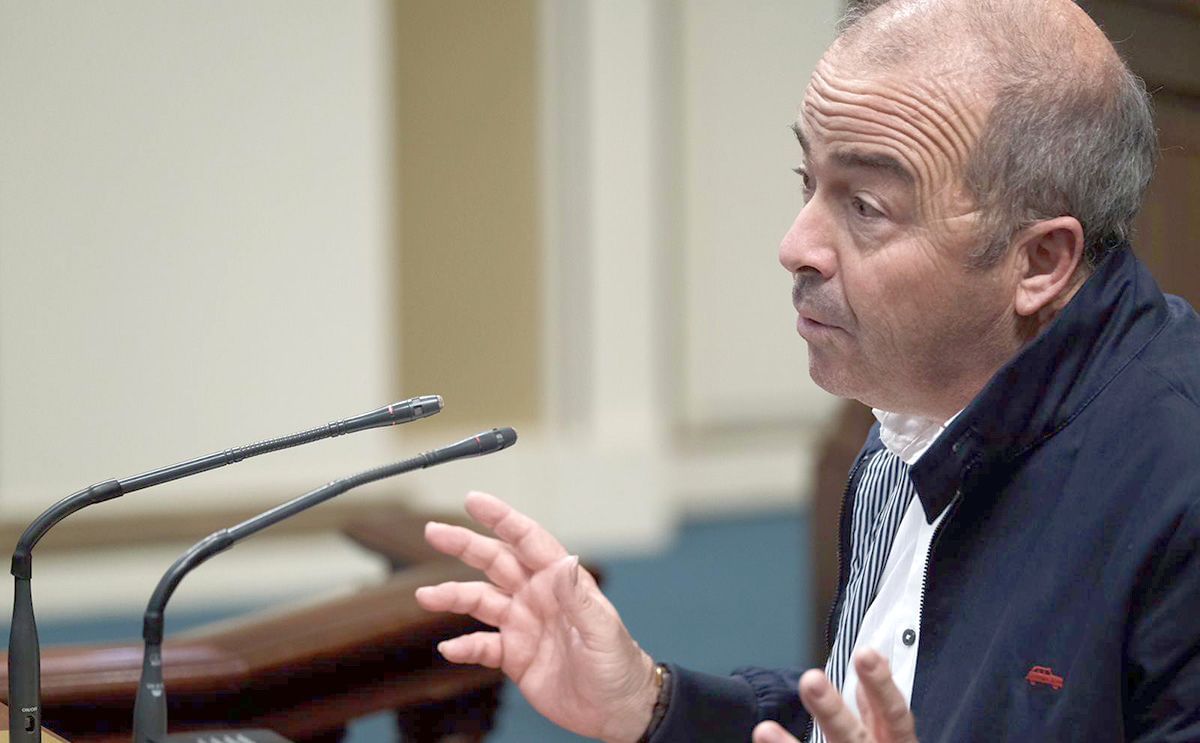 El Parlamento pide que se reduzca la importación de papas entre mayo y septiembre El Parlamento pide que se reduzca la importación de papas entre mayo y septiembre