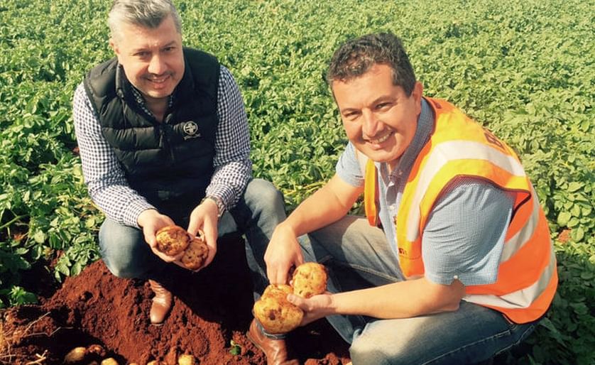 Frank (left) and John Mitolo (right), have begun this season's potato harvest after a strong year of sales throughout the coronavirus pandemic.
