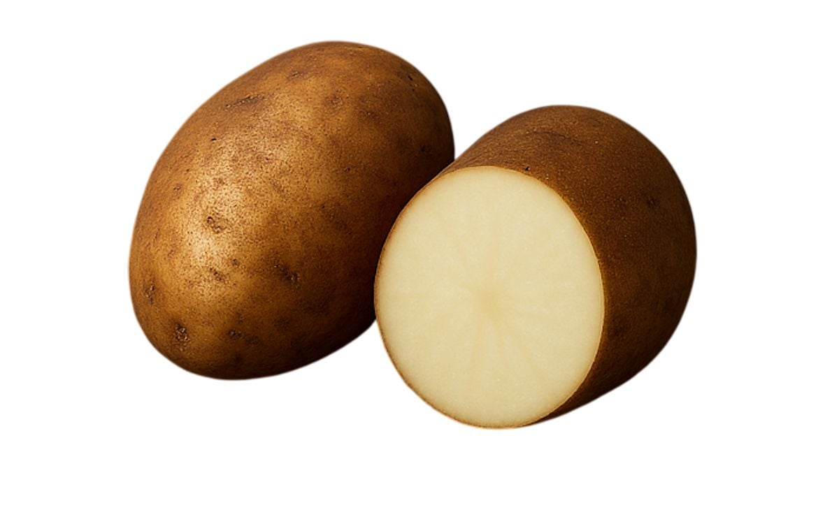 FREEDOM RUSSET FREEDOM RUSSET